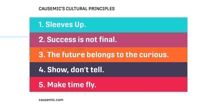 Colorful list of CauseMic's cultural principles: Sleeves up; success is not final; the future belongs to the curious; show, don't tell; make time fly