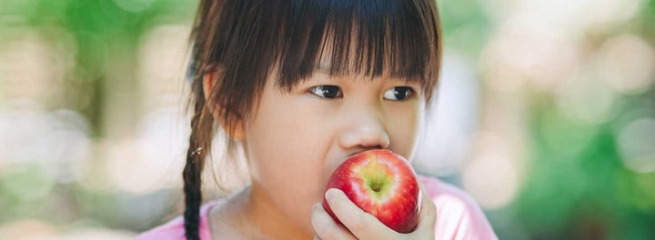 How Three Organizations Are Using Link2Feed to Fight Hunger