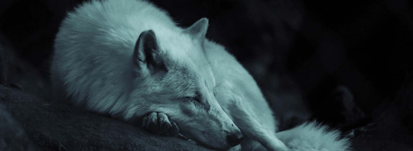 Storymakers: The Wild Animal Sanctuary